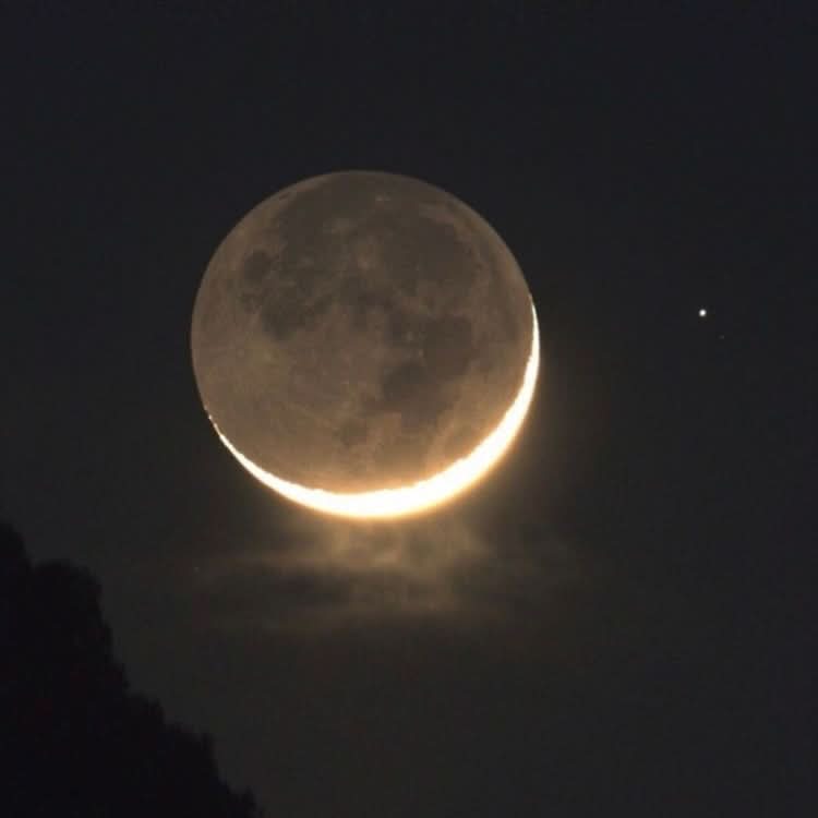 لونار