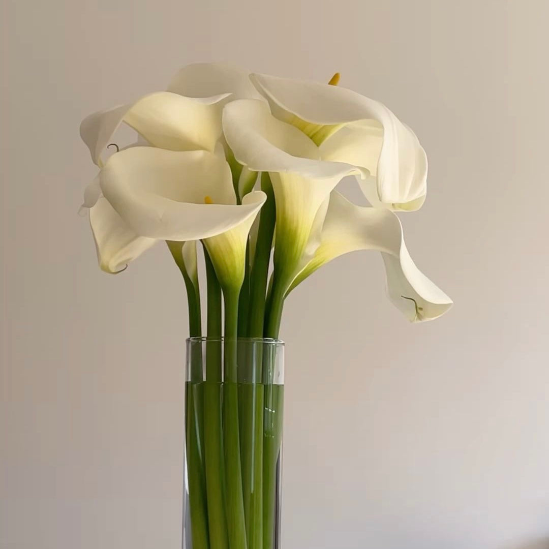 Lily