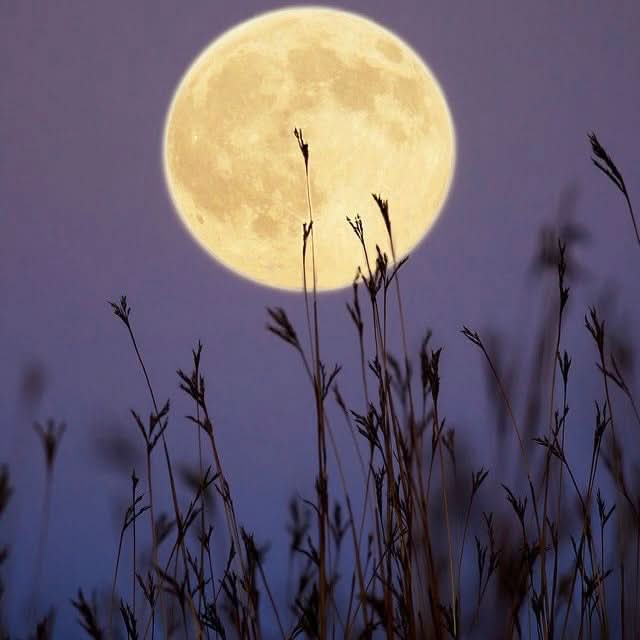 Full moon