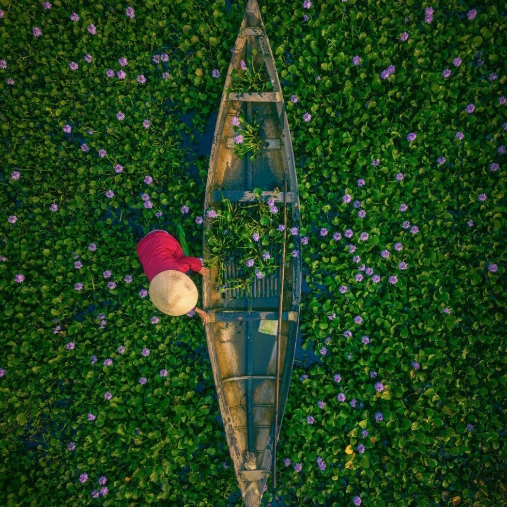Dora