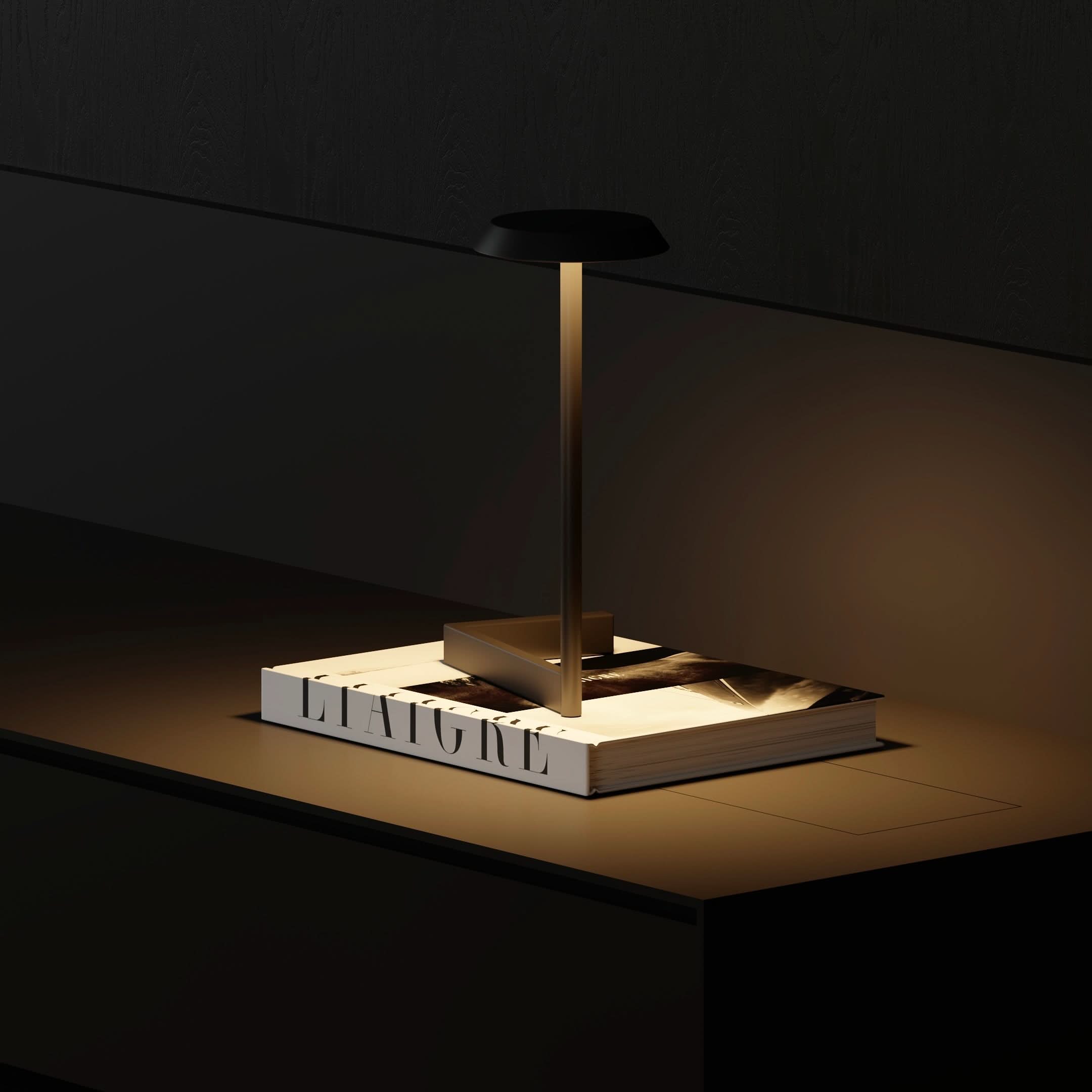Palta Table Lamp - dezania