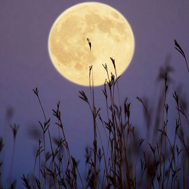 Full moon